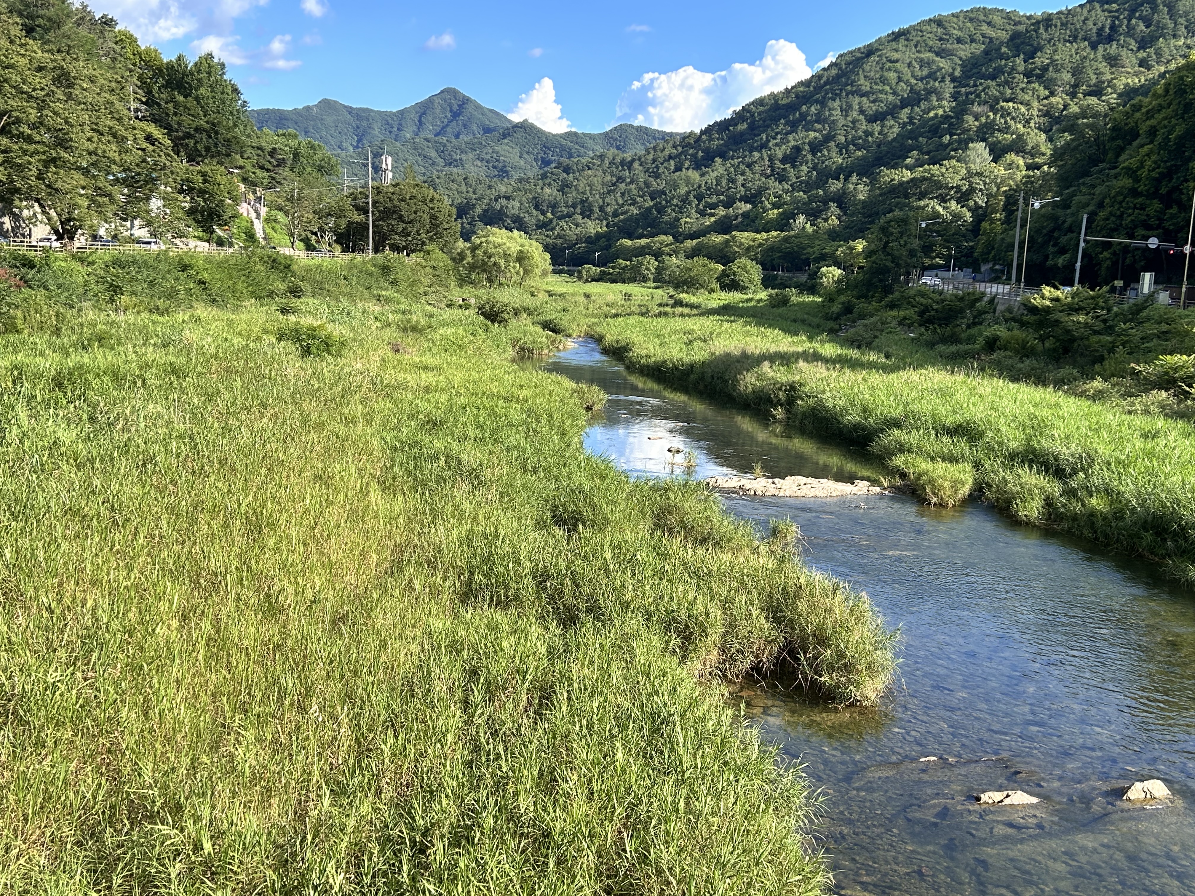 20250727한벽당 상류 자연스러운 수변 경관.jpg