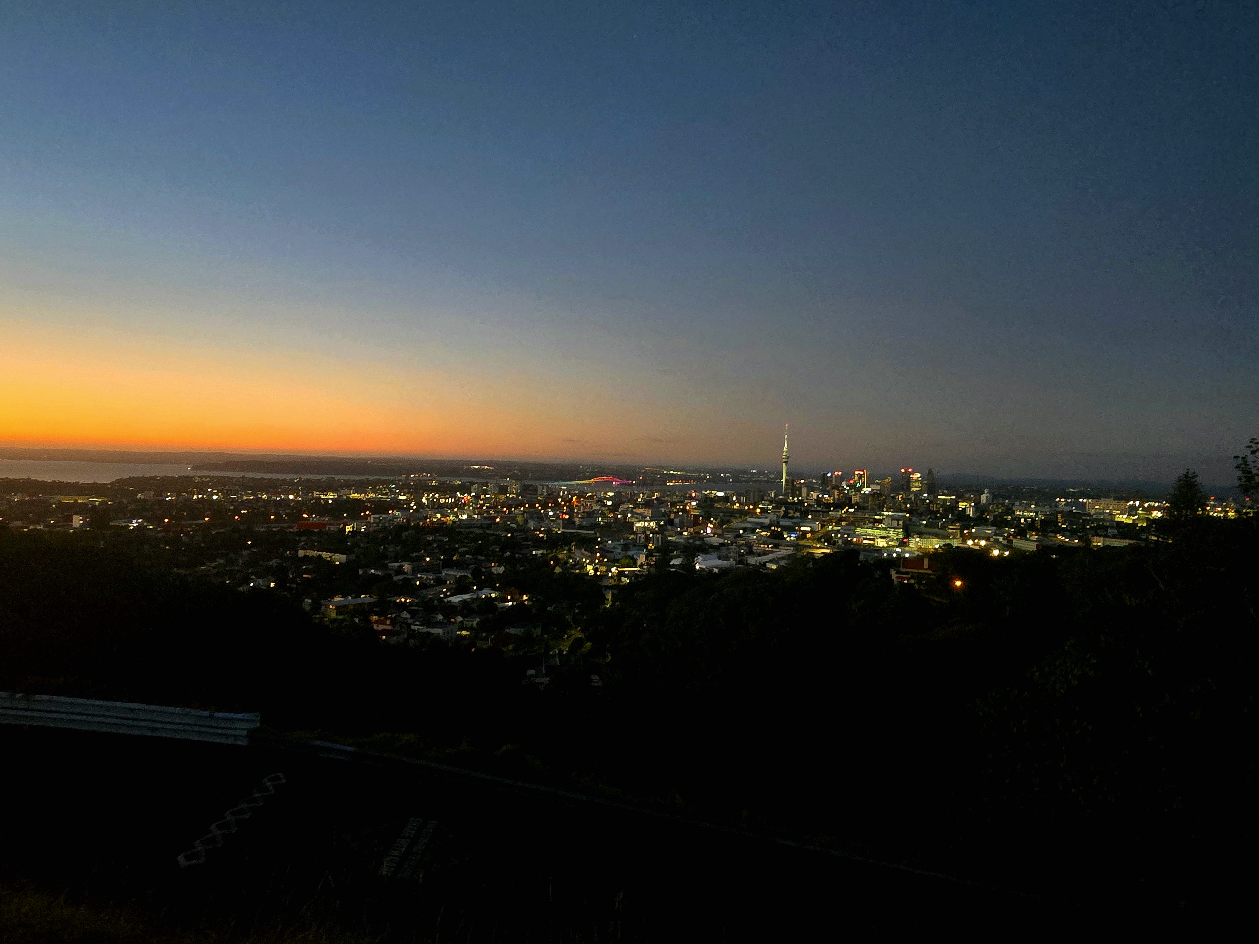 20250227_202756.jpg